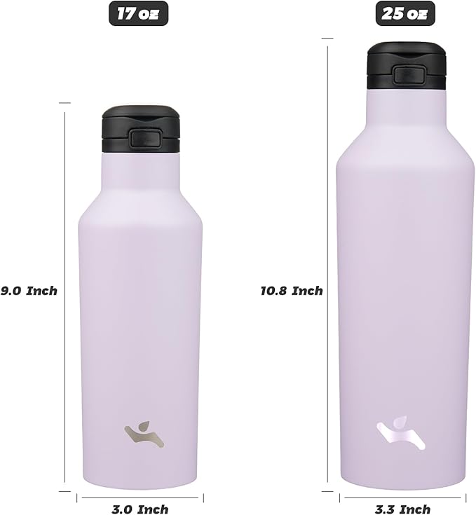 Insulated Water Bottle with Straw,17 OZ Double Wall Vacuum Stainless Steel Water Flask with 2 Lids,Purple - Bloomnest