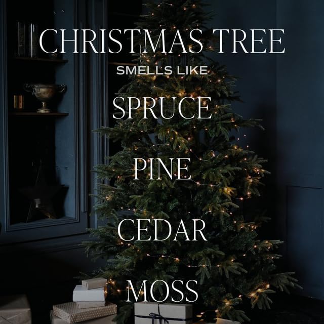 Sweet Water Decor Christmas Tree Candle - Spruce, Pine Needles and Evergreen Candles Scented Soy Candles for Home - Christmas Candle 9oz Clear Jar, 40 Hour Burn Time, Made in The USA - Bloomnest