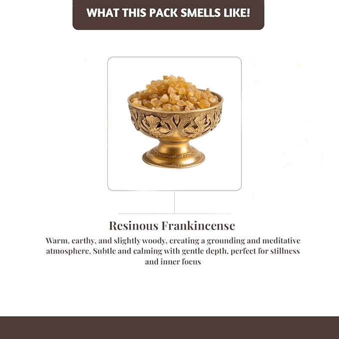 Folkulture Incense Sticks with Holder (100 Sticks)| Frankincense Incents Stick for Meditation, Relaxation, Gifts | No Charcoal,Organic,Non Toxic, 45 Mins, Slow Burning Insence-Sticks - Yoga Inspired FOLKULTURE
