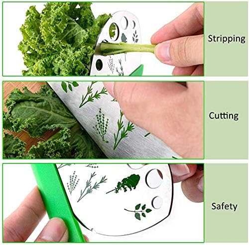 Herb Stripper, Jiaedge Green 9 holes Stainless Steel Kitchen Herbs Leaf Stripping Tool, Metal Herb Peeler for Kale, Collard Greens, Thyme, Basil, Rosemary Stripper - Bloomnest