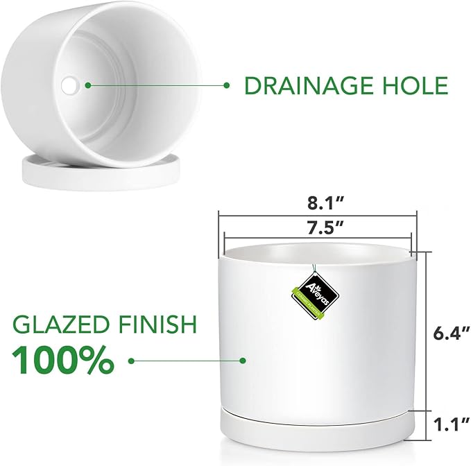 Aveyas 8 inch Ceramic Plant Pot with Drainage Hole and Saucer - Suitable for Indoor and Outdoor Use, Modern Planters for House Garden Flower Tree Snake Monstera Plants (8", Matte White) - Bloomnest