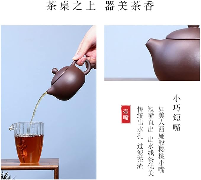 Xishi Teapot 7oz Chinese Zisha Clay Pot Ceramics Purple Sand Mud Kungfu Tea Set (purple 9 hole filter) - Bloomnest