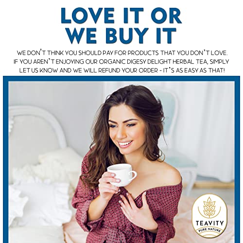 Organic Tea Pods with Ginger, Peppermint, Fennel, Licorice, & Rosehip Digest Delight by Teavity (24 Tea Pods) - Bloomnest
