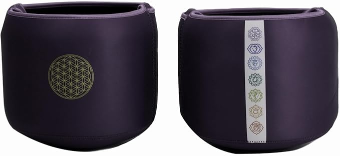 FMTY 10 inch Soft Carrying Bag for Crystal Singing Bowls this Travel Carrying Case protect for Sound Healing Bath Bowl(10inch Black, Carrying Bag) - Bloomnest