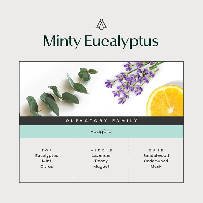 AromaPlan Hotel Scents Minty Eucalpyptus, 1.7 Fl Oz (50 ml)- Home Luxury Aroma & Hotel Fragrance Essential Oil- Hotel Essential Oil for Aromatherapy- USA Made, Bolder Aroma & Longer Lasting - Bloomnest