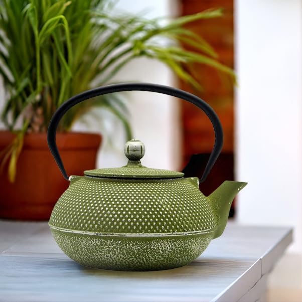 Cast Iron Teapot Tea Kettle with Stainless Steel Infuser for Stovetop Safe Coated with Enameled Interior Japanese Green Tetsubin for Loose Tea(30.4oz/900ml) - Bloomnest
