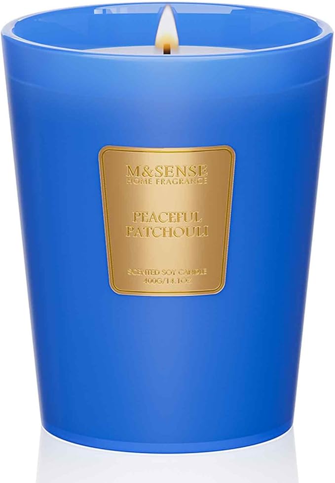 M&SENSE Peaceful Patchouli Scented Natural Soy Wax Candle, 14.1oz 60 Hours Long Lasting Slow Burning, Aromatherapy Fall Winter Candle for Stress Relief Festival Gifts for Home Decor - Bloomnest