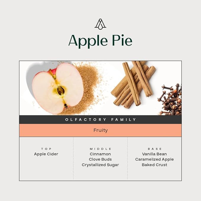 AromaPlan Hotel Scent Diffuser Oil Apple Pie 5 Fl Oz (148ml) Fall Collection– Luxury Hotel & Home Fragrance Oil - Non Toxic - Made in USA - Bigger Bottle, Bolder Aroma & Longer Lasting - Bloomnest