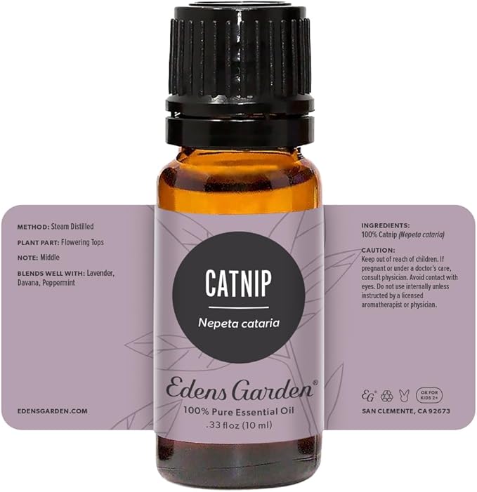 Edens Garden Catnip Essential Oil, 100% Pure Therapeutic Grade (Undiluted Natural/Homeopathic Aromatherapy Scented Essential Oil Singles) 10 ml EdensGarden
