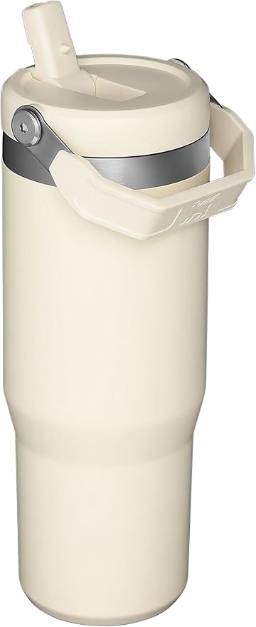 STANLEY IceFlow Flip Straw Tumbler with Handle 30 oz | Twist On Lid and Flip Up Straw | Leak Resistant Water Bottle | Insulated Stainless Steel |BPA-Free | Citron - Bloomnest