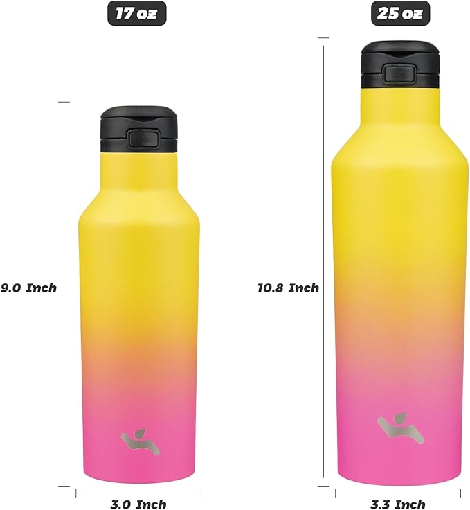 Insulated Water Bottle with Straw,25 OZ Double Wall Vacuum Stainless Steel Water Flask with 2 Lids,Rainbow - Bloomnest