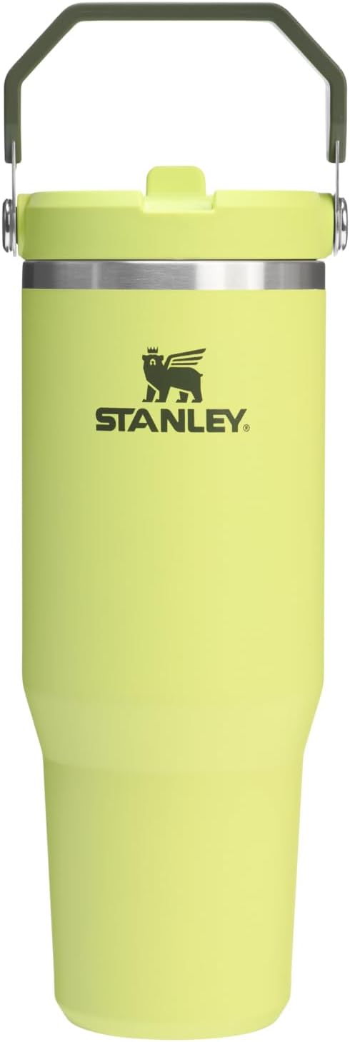 STANLEY IceFlow 2.0 Flip Straw Tumbler with Handle 30 oz | Twist On Lid and Flip Up Straw | Leakproof Water Bottle | Insulated Stainless Steel | BPA-Free | Prickly Pear - Bloomnest