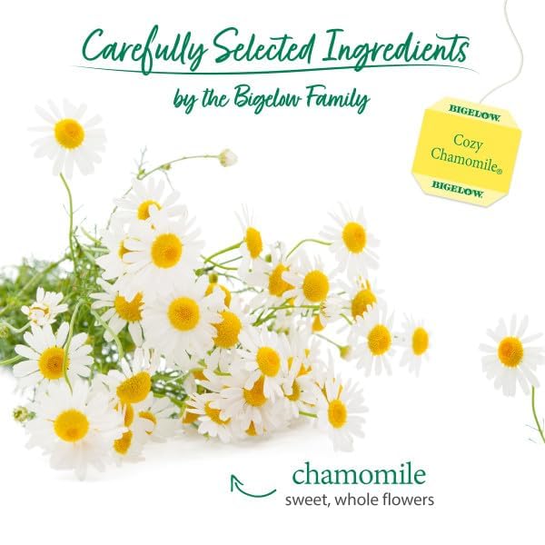 Bigelow Tea Cozy Chamomile Herbal Tea, Caffeine Free Tea with Chamomile Flowers, 20 Count Box (Pack of 6), 120 Total Tea Bags - Bloomnest