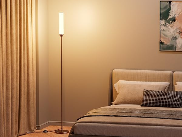 LED Floor Lamp with Remote Control, 65" Standing lamp with Stepless Adjustable 3000K-6500K Colors & 5%-100% Brightness, Foot Switch(Brown) - Bloomnest