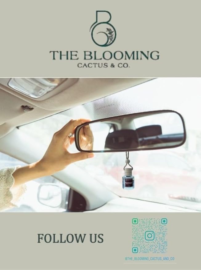 Car Air Freshener Hanging, Essential Oil Diffuser for Cars 1 OZ, Cute Car Accessories, C ar Air Freshener Refill, Long-Lasting Fragrance Refill, Car Diffuser Refill Made in USA | Love Spell - Bloomnest