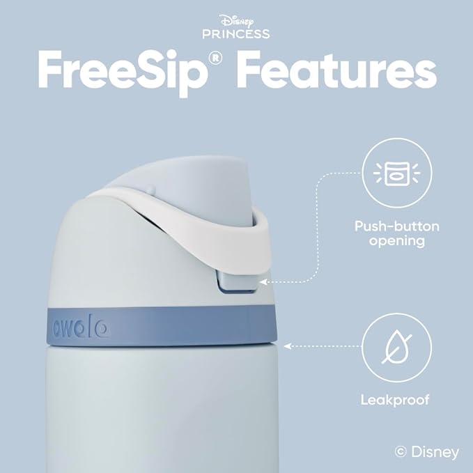 Owala Disney Princess FreeSip Insulated Stainless Steel Water Bottle with Straw for Sports and Travel, BPA-Free Sports Water Bottle, 24 oz, Cinderella Owala