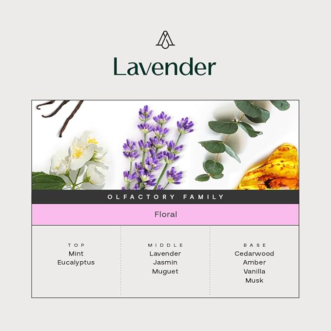AromaPlan Hotel Scents Lavender, 1.7 Fl Oz (50 ml)- Home Luxury Aroma & Hotel Fragrance Essential Oil- Hotel Essential Oil for Aromatherapy- USA Made, Bolder Aroma & Longer Lasting - Bloomnest