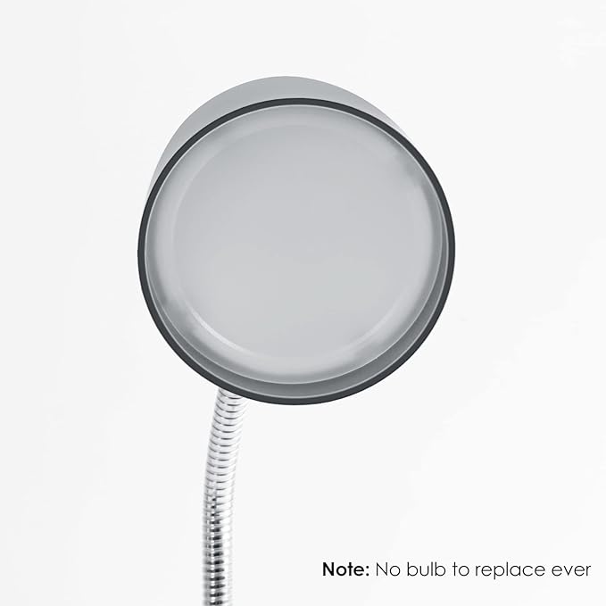 ENERGETIC SMARTER LIGHTING LED Desk Lamp, Flexible Gooseneck with Table lamp, 3.5W 240LM 4000K Cool White Study Lamps for Bedroom and Office, Eye Protection, ETL Listed Silver - Bloomnest