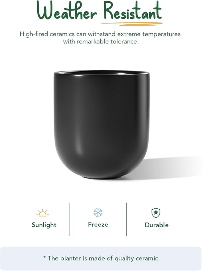 LE TAUCI 10 Inch Plant Pot, Ceramic Pots for Plants with Drainage Hole and Rubber Plug, Plant Pots Indoor for Olive Tree, Cylinder Planter Pot for Home Patio Office, Black - Bloomnest