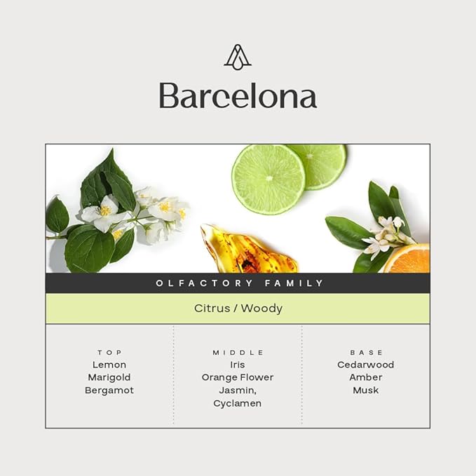 AromaPlan Hotel, Home Luxury Scents, Barcelona 5.07 Fl Oz (150ml) | Fragrance for Cold Air & Waterless Diffuser Oil | Home Luxury & Hotel Scent for Aromatherapy-USA Made,Bigger Bottle & Longer Lasting - Bloomnest