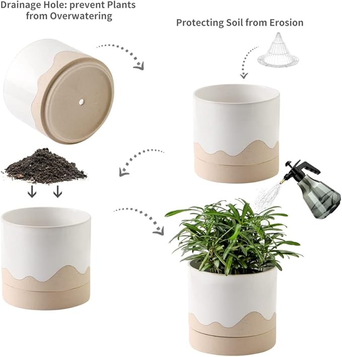 Nihow Ceramic Plant Pot: 6 Inch Planter with Drainage Hole & Saucer for Indoor & Outdoor Plants - Cylinder Round Flower Pot for Succulent/Herbs/Violets - White & Nature - Bloomnest