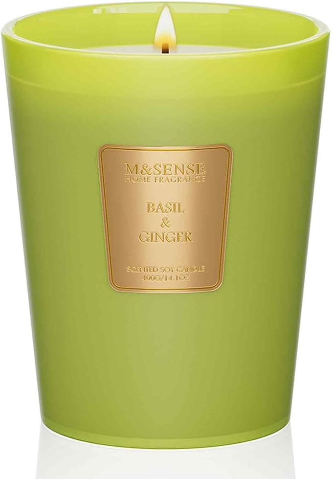 M&SENSE Basil Ginger Scented Natural Soy Wax Candle, 14.1oz 60 Hours Long Lasting Slow Burning Candles for Home Decor, Aromatherapy Candle for Stress Relief - Bloomnest