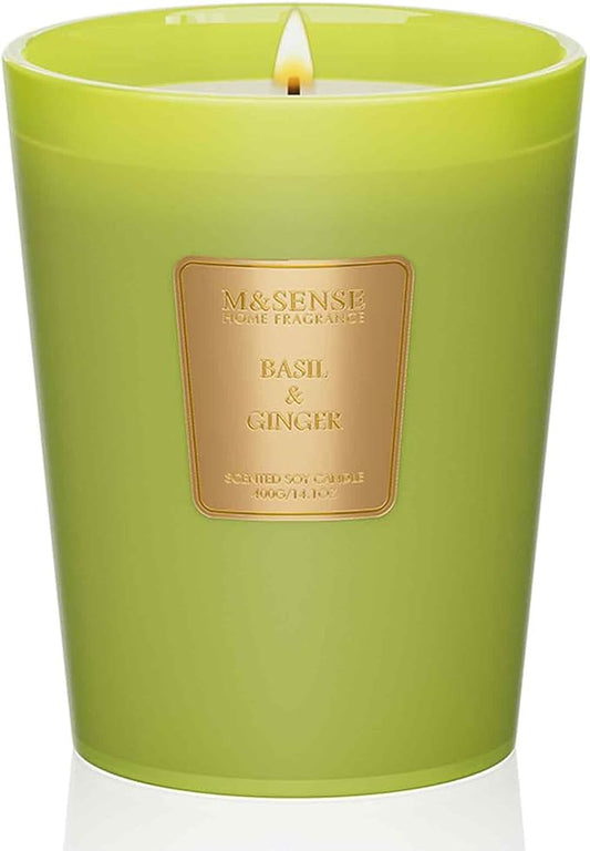 M&SENSE Basil Ginger Scented Natural Soy Wax Candle, 14.1oz 60 Hours Long Lasting Slow Burning Candles for Home Decor, Aromatherapy Candle for Stress Relief - Bloomnest