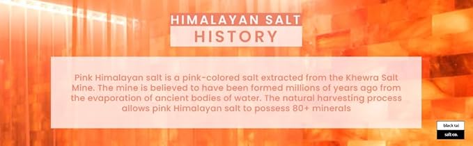 Black Tai Salt Co. Authentic Himalayan Crystal Pink Salt Lamp 60-80 Pounds - Bloomnest
