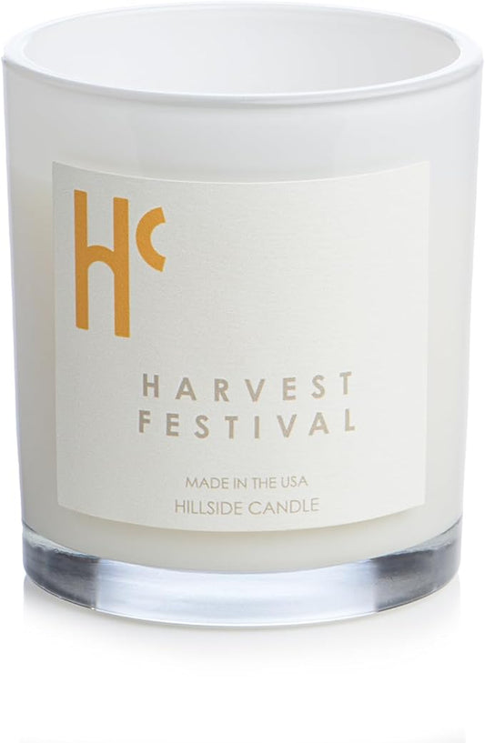 Long-Lasting Harvest Festival Fragrance - Single Wick Scented Candles - Up to 60 Hour Burn Time, Cruelty-Free Soy Candle Wax Blend - Pumpkin Fragrance, Notes of Amber & Orange (9 oz) - Bloomnest