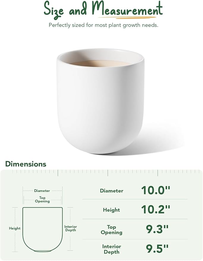 LE TAUCI 10 Inch Plant Pot, Ceramic Pots for Plants with Drainage Hole and Rubber Plug, Plant Pots Indoor for Olive Tree, Cylinder Planter Pot for Home Patio Office, White - Bloomnest