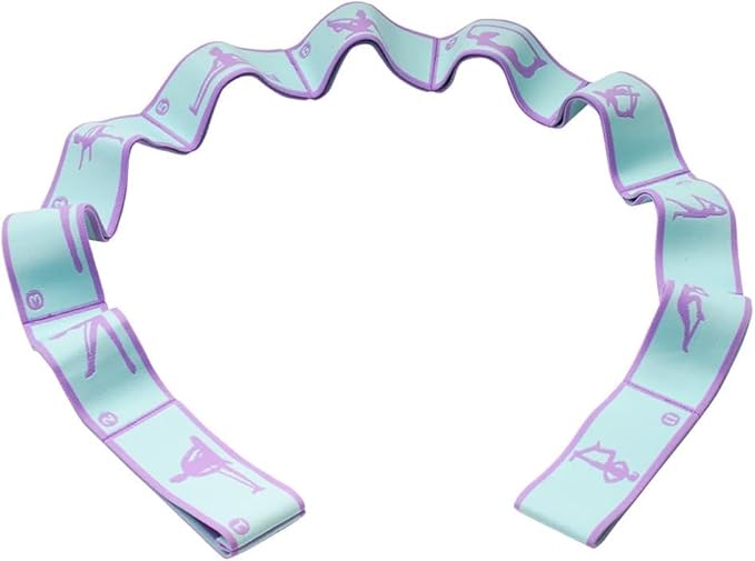 Resistance Bands 11 Loops with Guide Stretch Straps - Exercise Bands for Stretching, Yoga, Pilates & Physical Therapy - Elastic Fabric Workout Bands for Home Gym, Dance, Flexibility Training & Ballet Stretching Equipment - Bloomnest