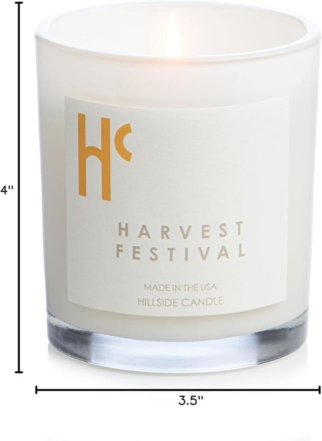 Long-Lasting Harvest Festival Fragrance - Single Wick Scented Candles - Up to 60 Hour Burn Time, Cruelty-Free Soy Candle Wax Blend - Pumpkin Fragrance, Notes of Amber & Orange (9 oz) - Bloomnest