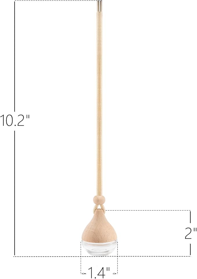 Refillable Car Air Freshener Hanging Diffuser, Empty Glass Bottle with Reed Sticks for Essential Oils, Car Scent Diffuser and Aromatherapy Pendant Decor for Women and Men, 2 Pack - Bloomnest