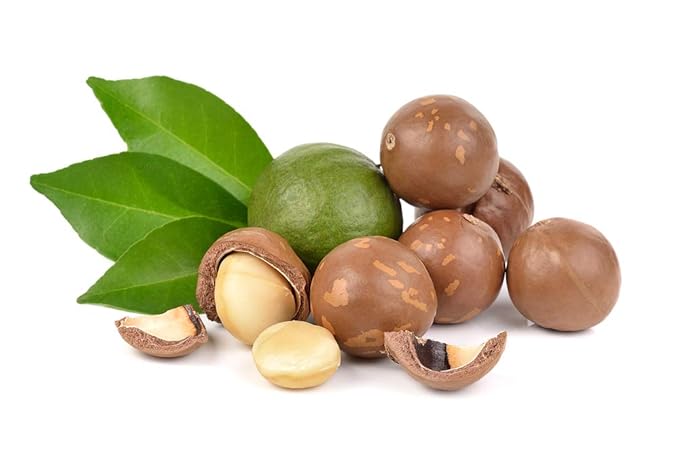 US Organic Macadamia Nut Oil Unrefined Virgin, USDA Certified Organic, Pure & Natural, Cold Pressed, Sourced in Kenya, in Amber Glass Bottle w/Glass Eye dropper for Easy Application (2 oz (Small)) - Bloomnest