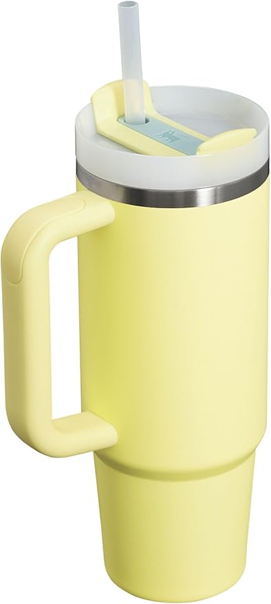 STANLEY Quencher H2.0 Tumbler with Handle and Straw 30 oz | Flowstate 3-Position Lid | Cup Holder Compatible for Travel | Insulated Stainless Steel Cup | BPA-Free | Pomelo - Bloomnest