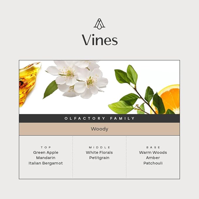 AromaPlan Hotel, Home Luxury Scents, Vines 5.07 Fl Oz (150ml) | Fragrance for Cold Air & Waterless Diffuser Oil | Home Luxury & Hotel Scent for Aromatherapy- USA Made, Bigger Bottle & Longer Lasting - Bloomnest