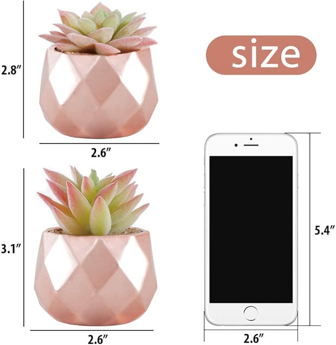 Tiita Artificial Faux Succulents in Pots, Mini Rose Gold Fake Plants for Women Desk, Small Realistic Faux Succulents for Home Office Accessories Window Sill Bathroom Bedroom, Rose Gold - Bloomnest