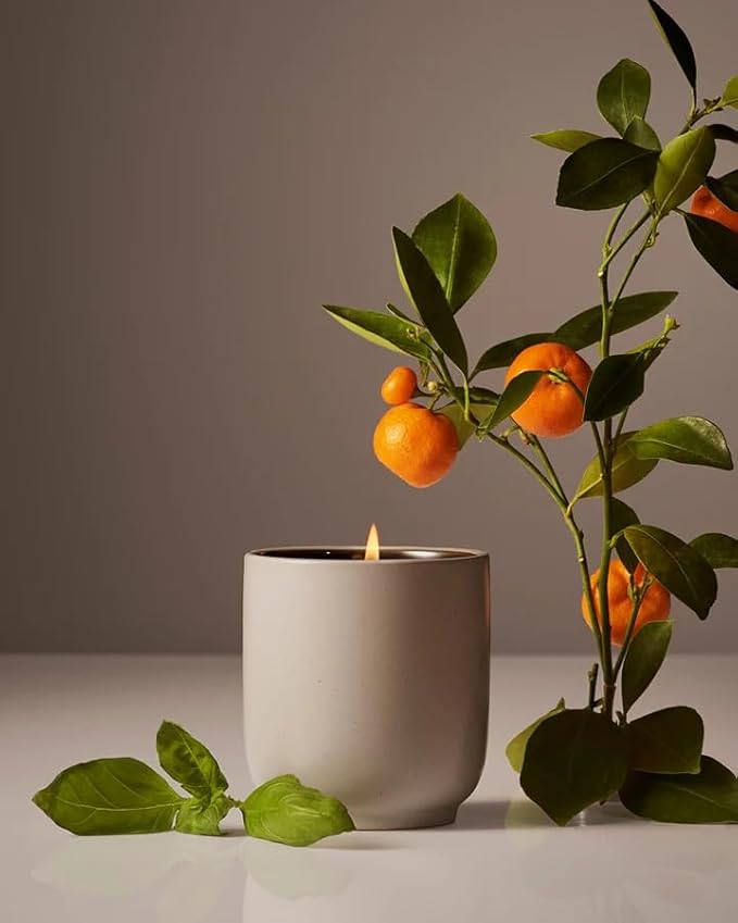 Homecourt Luxury Scented Candle, Mandarin Basile Scent, 60-Hour Burn Time, Soy Wax Blend, Organic Cotton Wick, Kiln-Fired Reusable Ceramic Vessel, 8 Oz - Bloomnest