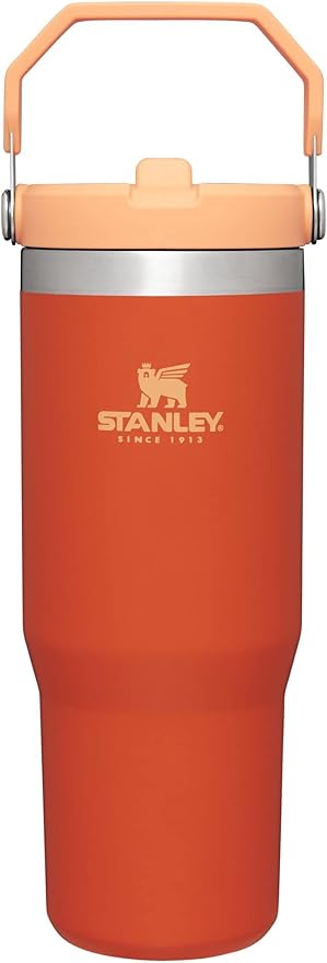 STANLEY IceFlow Flip Straw Tumbler with Handle 30 oz | Twist On Lid and Flip Up Straw | Leak Resistant Water Bottle | Insulated Stainless Steel |BPA-Free | Tigerlily - Bloomnest