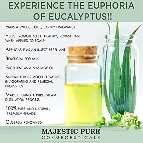 Majestic Pure Essential Oil with Glass Dropper - 100% Pure and Natural - Essential Oils for Diffuser, Aromatherapy, Soap and Candle Making, Eucalyptus Essential Oil, Eucalyptus Oil, 1 Fl Oz - Bloomnest