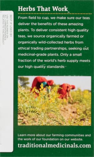 Traditional Medicinals Organic Fennel Tea,16 Count (Pack of 2) - Bloomnest