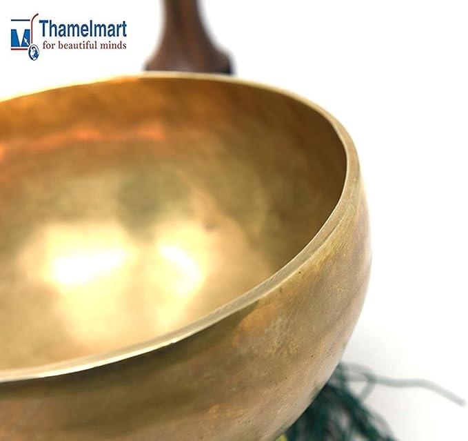 10" Large Master Healing Hand hammered Tibetan Singing Bowl ~ Great for Meditation, Yoga, Sound Bath, Mindfulness, Relaxation ~ Cushion, Wooden Mallet & Drumstick Included - Bloomnest