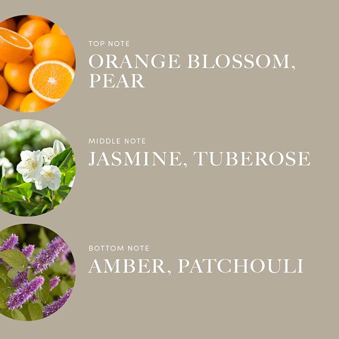 Aroma360 x Disney | So This is Love Oil Blend | Disney Princess Cinderella Luxury Essential Diffuser Oil | Aromatherapy Scent Diffuser Oil | Pear, Jasmine and Patchouli 16.9 fl oz, 500 mL - Bloomnest