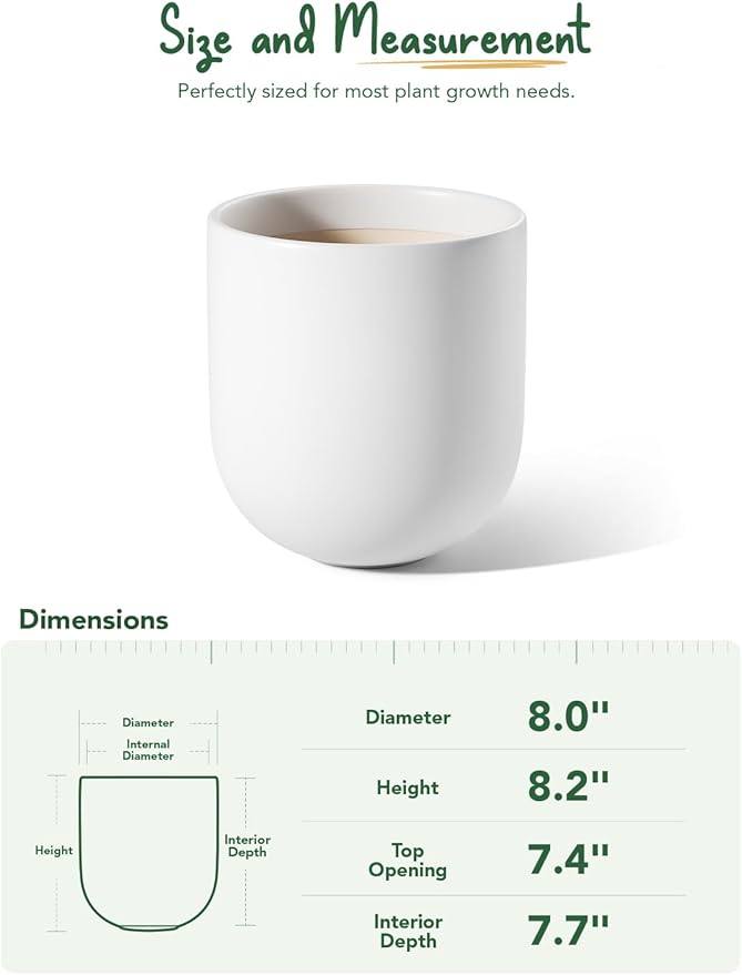LE TAUCI 8 Inch Plant Pot, Ceramic Pot with Drainage Hole & Rubber Plug, Indoor Planter for Herbs & Small Houseplants, Cylinder Planter for Home Office, White - Bloomnest