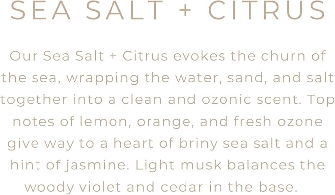 River Birch Candles Sea Salt & Citrus Scented Candle | Premium, All-Natural, Non-Toxic, Soy Candles | 16oz 90 Hr Burn Time | Cozy Relaxing Gifts for Home - Bloomnest