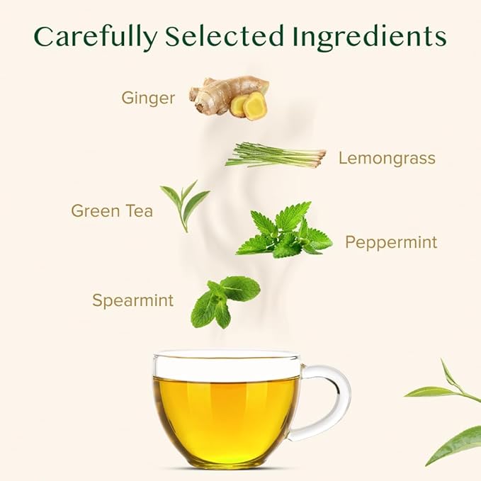 VAHDAM, Ginger Mint Green Tea Loose Leaf (50+ Cups, 3.5oz) Blend Of Ginger Tea & Mint Tea | Pure Green Tea Leaves | High Elevation Grown | Vacuum Sealed - Bloomnest