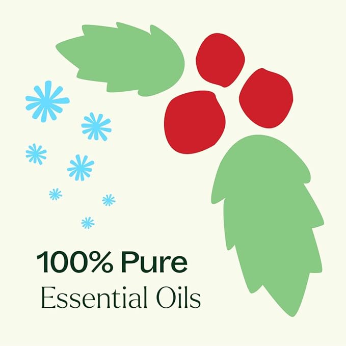 Plant Therapy Christmas Magic Holiday Essential Oil Blend 3 Set, Trio of Exclusive Holiday Scents, Bring Festive Cheer to Every Room, Joyful & Uplifting - Bloomnest