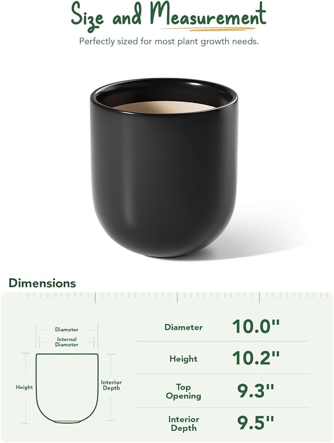 LE TAUCI 10 Inch Plant Pot, Ceramic Pots for Plants with Drainage Hole and Rubber Plug, Plant Pots Indoor for Olive Tree, Cylinder Planter Pot for Home Patio Office, Black - Bloomnest