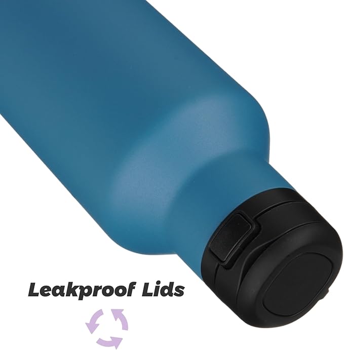 Insulated Water Bottle with Straw,25 OZ Double Wall Vacuum Stainless Steel Water Flask with 2 Lids,Ocean Blue - Bloomnest