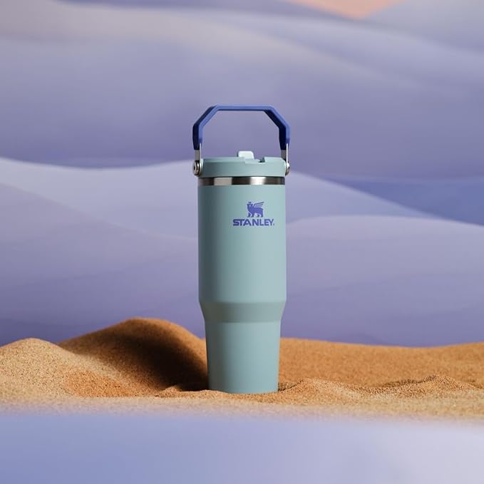 Stanley IceFlow 2.0 Flip Straw Tumbler with Handle 30 oz | Twist On Lid and Flip Up Straw | Leak Resistant Water Bottle | Insulated Stainless Steel | BPA-Free | Exclusive Blue Cactus - Bloomnest